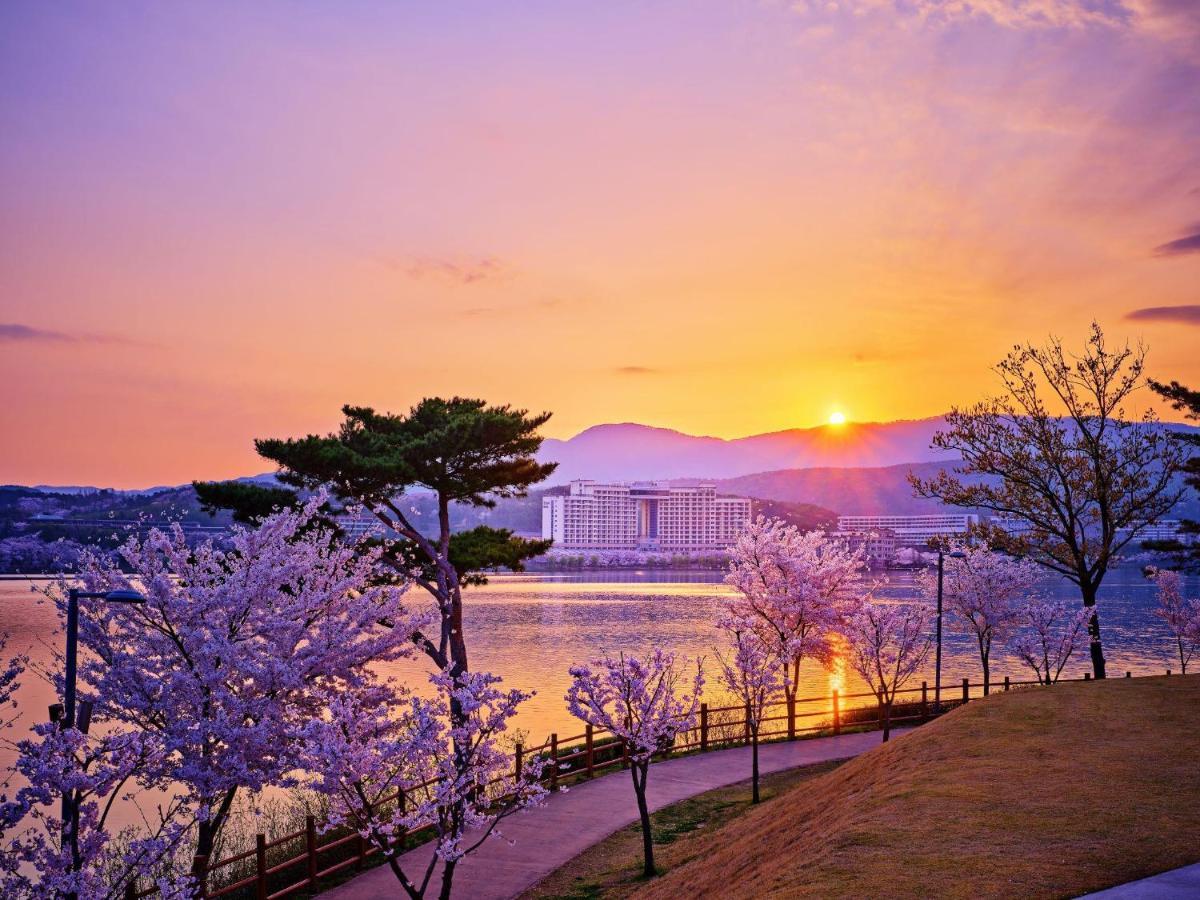 Hotel Sono Belle Gyeongju Extérieur photo