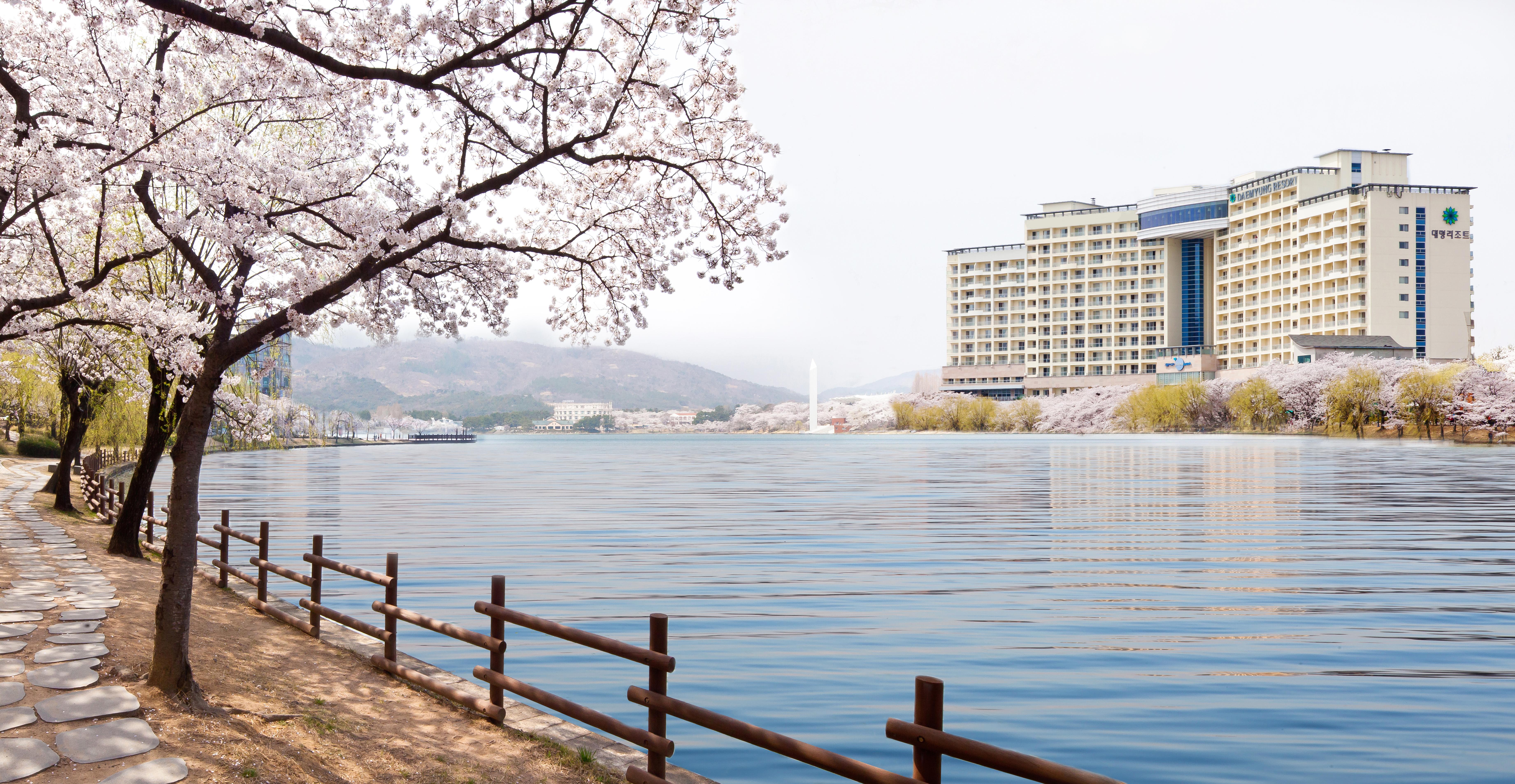 Hotel Sono Belle Gyeongju Extérieur photo