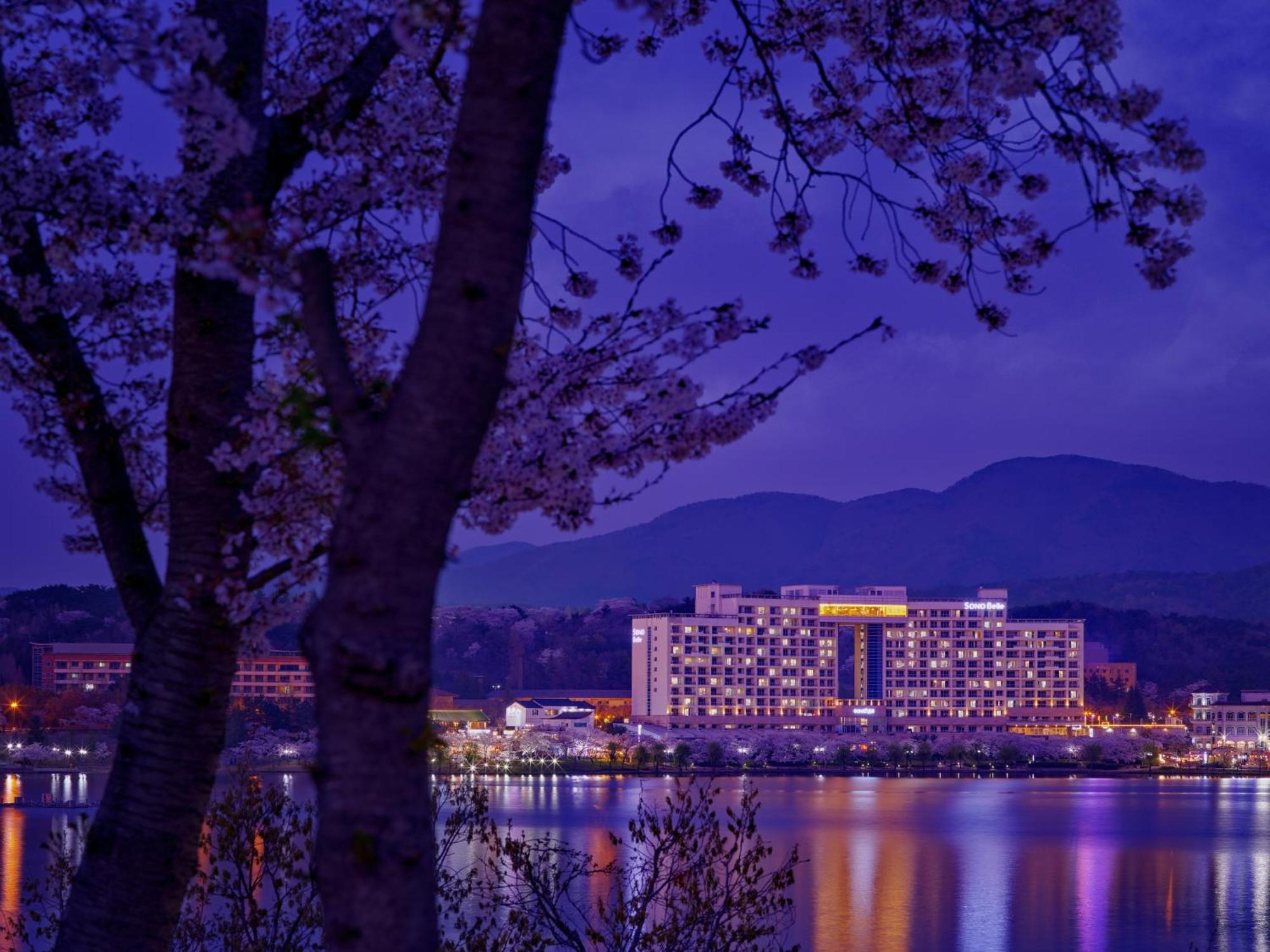 Hotel Sono Belle Gyeongju Extérieur photo
